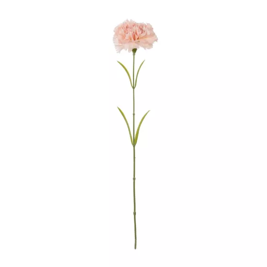 Artificial Garden PALE PING CARNATION BRANCH 21208 Τεχνητό Διακοσμητικό Κλαδί Γαρίφαλο Απαλό Ρόζ Y60cm Artificial Garden PALE PING CARNATION BRANCH 21208 Τεχνητό Διακοσμητικό Κλαδί Γαρίφαλο Απαλό Ρόζ Y60cm