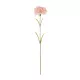 Artificial Garden PALE PING CARNATION BRANCH 21208 Τεχνητό Διακοσμητικό Κλαδί Γαρίφαλο Απαλό Ρόζ Y60cm Artificial Garden PALE PING CARNATION BRANCH 21208 Τεχνητό Διακοσμητικό Κλαδί Γαρίφαλο Απαλό Ρόζ Y60cm