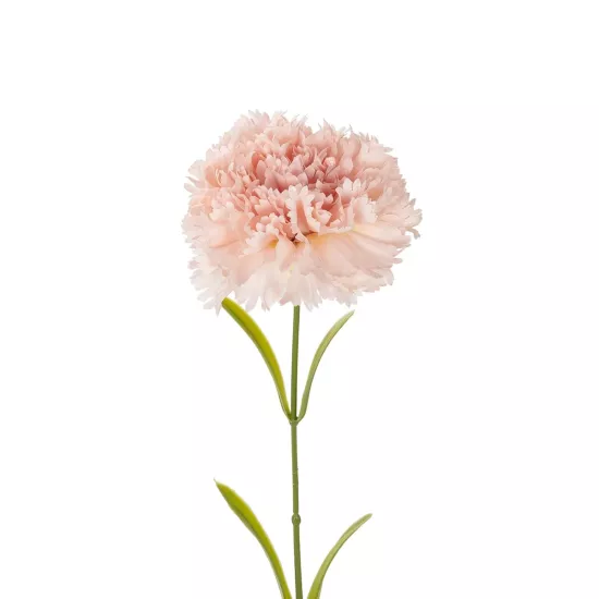 Artificial Garden PALE PING CARNATION BRANCH 21208 Τεχνητό Διακοσμητικό Κλαδί Γαρίφαλο Απαλό Ρόζ Y60cm Artificial Garden PALE PING CARNATION BRANCH 21208 Τεχνητό Διακοσμητικό Κλαδί Γαρίφαλο Απαλό Ρόζ Y60cm
