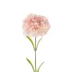 Artificial Garden PALE PING CARNATION BRANCH 21208 Τεχνητό Διακοσμητικό Κλαδί Γαρίφαλο Απαλό Ρόζ Y60cm Artificial Garden PALE PING CARNATION BRANCH 21208 Τεχνητό Διακοσμητικό Κλαδί Γαρίφαλο Απαλό Ρόζ Y60cm