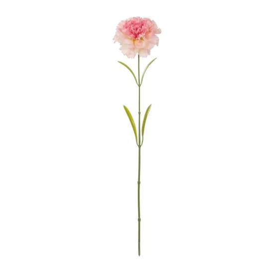 Artificial Garden PING CARNATION BRANCH 21209 Τεχνητό Διακοσμητικό Κλαδί Γαρίφαλο Ρόζ Y60cm Artificial Garden PING CARNATION BRANCH 21209 Τεχνητό Διακοσμητικό Κλαδί Γαρίφαλο Ρόζ Y60cm