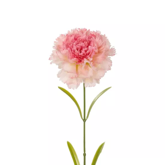 Artificial Garden PING CARNATION BRANCH 21209 Τεχνητό Διακοσμητικό Κλαδί Γαρίφαλο Ρόζ Y60cm Artificial Garden PING CARNATION BRANCH 21209 Τεχνητό Διακοσμητικό Κλαδί Γαρίφαλο Ρόζ Y60cm
