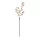 Artificial Garden PINK PEAR BLOSSOM BRANCH 21295 Τεχνητό Διακοσμητικό Κλαδί Αχλαδίας Ρόζ Y80cm Artificial Garden PINK PEAR BLOSSOM BRANCH 21295 Τεχνητό Διακοσμητικό Κλαδί Αχλαδίας Ρόζ Y80cm