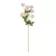 Artificial Garden PINK BRANCH PEONY 21296 Τεχνητό Διακοσμητικό Κλαδί Ρόζ Παιώνιας Y76cm Artificial Garden PINK BRANCH PEONY 21296 Τεχνητό Διακοσμητικό Κλαδί Ρόζ Παιώνιας Y76cm