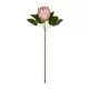 Artificial Garden PINK KING FLOWER BRANCH 21300 Τεχνητό Διακοσμητικό Κλαδί KING FLOWER Ρόζ Y70cm Artificial Garden PINK KING FLOWER BRANCH 21300 Τεχνητό Διακοσμητικό Κλαδί KING FLOWER Ρόζ Y70cm