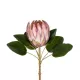 Artificial Garden PINK KING FLOWER BRANCH 21300 Τεχνητό Διακοσμητικό Κλαδί KING FLOWER Ρόζ Y70cm Artificial Garden PINK KING FLOWER BRANCH 21300 Τεχνητό Διακοσμητικό Κλαδί KING FLOWER Ρόζ Y70cm