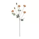 Artificial Garden PINK ROSE BRANCH 21302 Τεχνητό Διακοσμητικό Κλαδί Τριαντάφυλλα Ροζ Y80cm Artificial Garden PINK ROSE BRANCH 21302 Τεχνητό Διακοσμητικό Κλαδί Τριαντάφυλλα Ροζ Y80cm