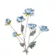 Artificial Garden SKY BLUE PAEONIA BRANCH 21306 Τεχνητό Διακοσμητικό Κλαδί Παιώνιας Μπλέ Y82cm Artificial Garden SKY BLUE PAEONIA BRANCH 21306 Τεχνητό Διακοσμητικό Κλαδί Παιώνιας Μπλέ Y82cm
