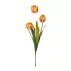 Artificial Garden ORANGE TULIP BRANCH 21308 Τεχνητό Διακοσμητικό Κλαδί Πορτοκαλί Τουλίπα Y48cm Artificial Garden ORANGE TULIP BRANCH 21308 Τεχνητό Διακοσμητικό Κλαδί Πορτοκαλί Τουλίπα Y48cm