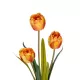 Artificial Garden ORANGE TULIP BRANCH 21308 Τεχνητό Διακοσμητικό Κλαδί Πορτοκαλί Τουλίπα Y48cm Artificial Garden ORANGE TULIP BRANCH 21308 Τεχνητό Διακοσμητικό Κλαδί Πορτοκαλί Τουλίπα Y48cm