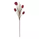Artificial Garden RED TULIP BRANCH 21309 Τεχνητό Διακοσμητικό Κλαδί Κόκκινη Τουλίπα Y100cm Artificial Garden RED TULIP BRANCH 21309 Τεχνητό Διακοσμητικό Κλαδί Κόκκινη Τουλίπα Y100cm