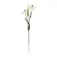 Artificial Garden WHITE LILY BRANCH 21310 Τεχνητό Διακοσμητικό Κλαδί Λευκό Κρίνο Y90cm Artificial Garden WHITE LILY BRANCH 21310 Τεχνητό Διακοσμητικό Κλαδί Λευκό Κρίνο Y90cm