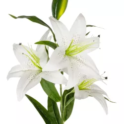 Artificial Garden WHITE LILY BRANCH 21312 Τεχνητό Διακοσμητικό Κλαδί Λευκό Κρίνο Y95cm