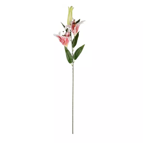 Artificial Garden PINK LILY BRANCH 21313 Τεχνητό Διακοσμητικό Κλαδί Ροζ Κρίνο Y106cm Artificial Garden PINK LILY BRANCH 21313 Τεχνητό Διακοσμητικό Κλαδί Ροζ Κρίνο Y106cm