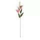Artificial Garden PINK LILY BRANCH 21313 Τεχνητό Διακοσμητικό Κλαδί Ροζ Κρίνο Y106cm Artificial Garden PINK LILY BRANCH 21313 Τεχνητό Διακοσμητικό Κλαδί Ροζ Κρίνο Y106cm