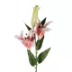 Artificial Garden PINK LILY BRANCH 21313 Τεχνητό Διακοσμητικό Κλαδί Ροζ Κρίνο Y106cm Artificial Garden PINK LILY BRANCH 21313 Τεχνητό Διακοσμητικό Κλαδί Ροζ Κρίνο Y106cm
