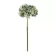Artificial Garden GREEN HYDRANGEA BRANCH 21316 Τεχνητό Διακοσμητικό Κλαδί Πράσινη Ορτανσία Y47cm Artificial Garden GREEN HYDRANGEA BRANCH 21316 Τεχνητό Διακοσμητικό Κλαδί Πράσινη Ορτανσία Y47cm