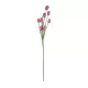 Artificial Garden PINK TULIP BRANCH 21319 Τεχνητό Διακοσμητικό Κλαδί Ροζ Τουλίπα Y92cm Artificial Garden PINK TULIP BRANCH 21319 Τεχνητό Διακοσμητικό Κλαδί Ροζ Τουλίπα Y92cm