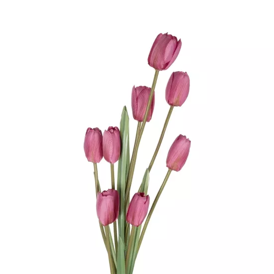 Artificial Garden PINK TULIP BRANCH 21319 Τεχνητό Διακοσμητικό Κλαδί Ροζ Τουλίπα Y92cm Artificial Garden PINK TULIP BRANCH 21319 Τεχνητό Διακοσμητικό Κλαδί Ροζ Τουλίπα Y92cm