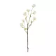 Artificial Garden WHITE CHERRY BLOSSOM BRANCH 21320 Τεχνητό Διακοσμητικό Λευκό Κλαδί Κερασίας Y88cm Artificial Garden WHITE CHERRY BLOSSOM BRANCH 21320 Τεχνητό Διακοσμητικό Λευκό Κλαδί Κερασίας Y88cm