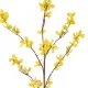 Artificial Garden YELLOW WINDER JASMIN BRANCH 21321 Τεχνητό Διακοσμητικό Κίτρινο Κλαδί Γιασεμί Y92cm Artificial Garden YELLOW WINDER JASMIN BRANCH 21321 Τεχνητό Διακοσμητικό Κίτρινο Κλαδί Γιασεμί Y92cm