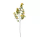 Artificial Garden ORANGE APRICOT BRANCH 21325 Τεχνητό Διακοσμητικό Πορτοκαλί Κλαδί Ροδακινίας Y100cm Artificial Garden ORANGE APRICOT BRANCH 21325 Τεχνητό Διακοσμητικό Πορτοκαλί Κλαδί Ροδακινίας Y100cm
