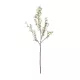 Artificial Garden WHITE FORSYTHIA BRANCH 21326 Τεχνητό Διακοσμητικό Λευκό Κλαδί Φορσύθιας Y83cm Artificial Garden WHITE FORSYTHIA BRANCH 21326 Τεχνητό Διακοσμητικό Λευκό Κλαδί Φορσύθιας Y83cm