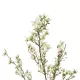 Artificial Garden WHITE FORSYTHIA BRANCH 21326 Τεχνητό Διακοσμητικό Λευκό Κλαδί Φορσύθιας Y83cm Artificial Garden WHITE FORSYTHIA BRANCH 21326 Τεχνητό Διακοσμητικό Λευκό Κλαδί Φορσύθιας Y83cm