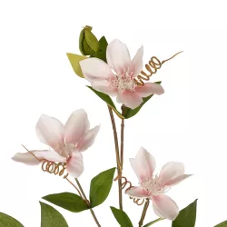 Artificial Garden PALE PINK CLEMANTIS BRANCH 21332 Τεχνητό Διακοσμητικό Κλαδί Ροζ Κλημεντίνα Y80cm