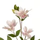 Artificial Garden PALE PINK CLEMANTIS BRANCH 21332 Τεχνητό Διακοσμητικό Κλαδί Ροζ Κλημεντίνα Y80cm Artificial Garden PALE PINK CLEMANTIS BRANCH 21332 Τεχνητό Διακοσμητικό Κλαδί Ροζ Κλημεντίνα Y80cm