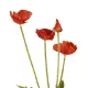 Artificial Garden RED POPPY BRANCH 21333 Τεχνητό Διακοσμητικό Κλαδί Παπαρούνα Κόκκινη Y50cm Artificial Garden RED POPPY BRANCH 21333 Τεχνητό Διακοσμητικό Κλαδί Παπαρούνα Κόκκινη Y50cm
