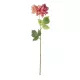 Artificial Garden PINK DHALIA BRANCH 21334 Τεχνητό Διακοσμητικό Ροζ Κλαδί Ντάλια Y60cm Artificial Garden PINK DHALIA BRANCH 21334 Τεχνητό Διακοσμητικό Ροζ Κλαδί Ντάλια Y60cm