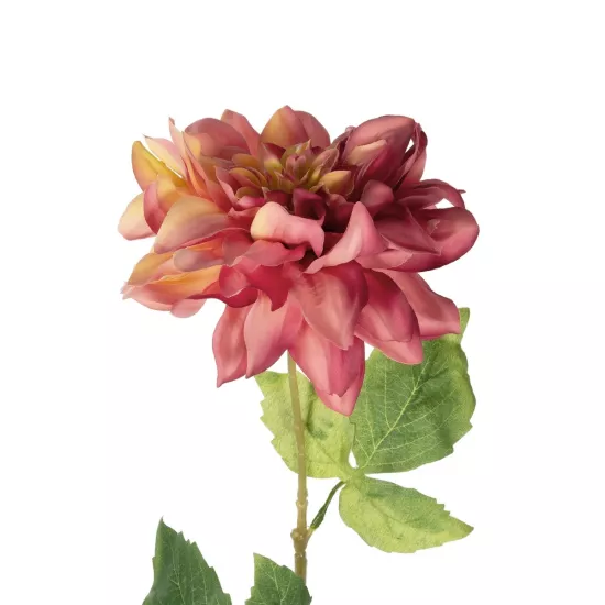 Artificial Garden PINK DHALIA BRANCH 21334 Τεχνητό Διακοσμητικό Ροζ Κλαδί Ντάλια Y60cm Artificial Garden PINK DHALIA BRANCH 21334 Τεχνητό Διακοσμητικό Ροζ Κλαδί Ντάλια Y60cm