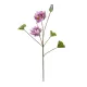 Artificial Garden PINK LOTUS BRANCH 21335 Τεχνητό Διακοσμητικό Ροζ Κλαδί Λωτός Y121cm Artificial Garden PINK LOTUS BRANCH 21335 Τεχνητό Διακοσμητικό Ροζ Κλαδί Λωτός Y121cm