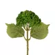 Artificial Garden GREEN SEDUM BRANCH 21336 Τεχνητό Διακοσμητικό Κλαδί Πράσινο Σέδο Y38cm Artificial Garden GREEN SEDUM BRANCH 21336 Τεχνητό Διακοσμητικό Κλαδί Πράσινο Σέδο Y38cm