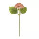 Artificial Garden SALMON SEDUM BRANCH 21337 Τεχνητό Διακοσμητικό Κλαδί Ροζ Σέδο Y38cm Artificial Garden SALMON SEDUM BRANCH 21337 Τεχνητό Διακοσμητικό Κλαδί Ροζ Σέδο Y38cm