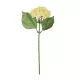 Artificial Garden WHITE SEDUM BRANCH 21339 Τεχνητό Διακοσμητικό Κλαδί Λευκό Σέδο Y38cm Artificial Garden WHITE SEDUM BRANCH 21339 Τεχνητό Διακοσμητικό Κλαδί Λευκό Σέδο Y38cm