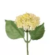 Artificial Garden WHITE SEDUM BRANCH 21339 Τεχνητό Διακοσμητικό Κλαδί Λευκό Σέδο Y38cm Artificial Garden WHITE SEDUM BRANCH 21339 Τεχνητό Διακοσμητικό Κλαδί Λευκό Σέδο Y38cm