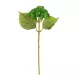 Artificial Garden OLIVE GREEN SEDUM BRANCH 21340 Τεχνητό Διακοσμητικό Κλαδί Πράσινο Σέδο Y38cm Artificial Garden OLIVE GREEN SEDUM BRANCH 21340 Τεχνητό Διακοσμητικό Κλαδί Πράσινο Σέδο Y38cm