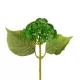 Artificial Garden OLIVE GREEN SEDUM BRANCH 21340 Τεχνητό Διακοσμητικό Κλαδί Πράσινο Σέδο Y38cm Artificial Garden OLIVE GREEN SEDUM BRANCH 21340 Τεχνητό Διακοσμητικό Κλαδί Πράσινο Σέδο Y38cm