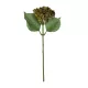 Artificial Garden BROWN SEDUM BRANCH 21341 Τεχνητό Διακοσμητικό Κλαδί Καφε Σέδο Y38cm Artificial Garden BROWN SEDUM BRANCH 21341 Τεχνητό Διακοσμητικό Κλαδί Καφε Σέδο Y38cm