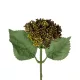 Artificial Garden BROWN SEDUM BRANCH 21341 Τεχνητό Διακοσμητικό Κλαδί Καφε Σέδο Y38cm Artificial Garden BROWN SEDUM BRANCH 21341 Τεχνητό Διακοσμητικό Κλαδί Καφε Σέδο Y38cm