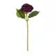 Artificial Garden HOT PINK SEDUM BRANCH 21344 Τεχνητό Διακοσμητικό Κλαδί Ροζ Σέδο Y38cm Artificial Garden HOT PINK SEDUM BRANCH 21344 Τεχνητό Διακοσμητικό Κλαδί Ροζ Σέδο Y38cm