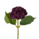Artificial Garden HOT PINK SEDUM BRANCH 21344 Τεχνητό Διακοσμητικό Κλαδί Ροζ Σέδο Y38cm Artificial Garden HOT PINK SEDUM BRANCH 21344 Τεχνητό Διακοσμητικό Κλαδί Ροζ Σέδο Y38cm