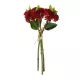 Artificial Garden RED SEDUM BOUQUET 21349 Τεχνητό Διακοσμητικό Μπουκέτο Κόκκινο Σέδο Y30cm Artificial Garden RED SEDUM BOUQUET 21349 Τεχνητό Διακοσμητικό Μπουκέτο Κόκκινο Σέδο Y30cm
