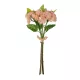 Artificial Garden SALMON PINK SEDUM BOUQUET 21350 Τεχνητό Διακοσμητικό Μπουκέτο Ροζ Σέδο Y30cm Artificial Garden SALMON PINK SEDUM BOUQUET 21350 Τεχνητό Διακοσμητικό Μπουκέτο Ροζ Σέδο Y30cm