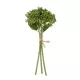 Artificial Garden GREEN HYACINTH BOUQUET 21354 Τεχνητό Διακοσμητικό Μπουκέτο Πράσινος Υάκυνθος Y30cm Artificial Garden GREEN HYACINTH BOUQUET 21354 Τεχνητό Διακοσμητικό Μπουκέτο Πράσινος Υάκυνθος Y30cm