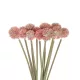 Artificial Garden PINK DANDELION BOUQET 21359 Τεχνητό Διακοσμητικό Ταραξάκο Μπουκέτο Y54cm Artificial Garden PINK DANDELION BOUQET 21359 Τεχνητό Διακοσμητικό Ταραξάκο Μπουκέτο Y54cm