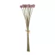 Artificial Garden PURPLE DANDELION BOUQET 21360 Τεχνητό Διακοσμητικό Ταραξάκο Μπουκέτο Y54cm Artificial Garden PURPLE DANDELION BOUQET 21360 Τεχνητό Διακοσμητικό Ταραξάκο Μπουκέτο Y54cm
