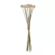 Artificial Garden PALE PINK DANDELION BOUQET 21361 Τεχνητό Διακοσμητικό Ταραξάκο Μπουκέτο Y54cm Artificial Garden PALE PINK DANDELION BOUQET 21361 Τεχνητό Διακοσμητικό Ταραξάκο Μπουκέτο Y54cm